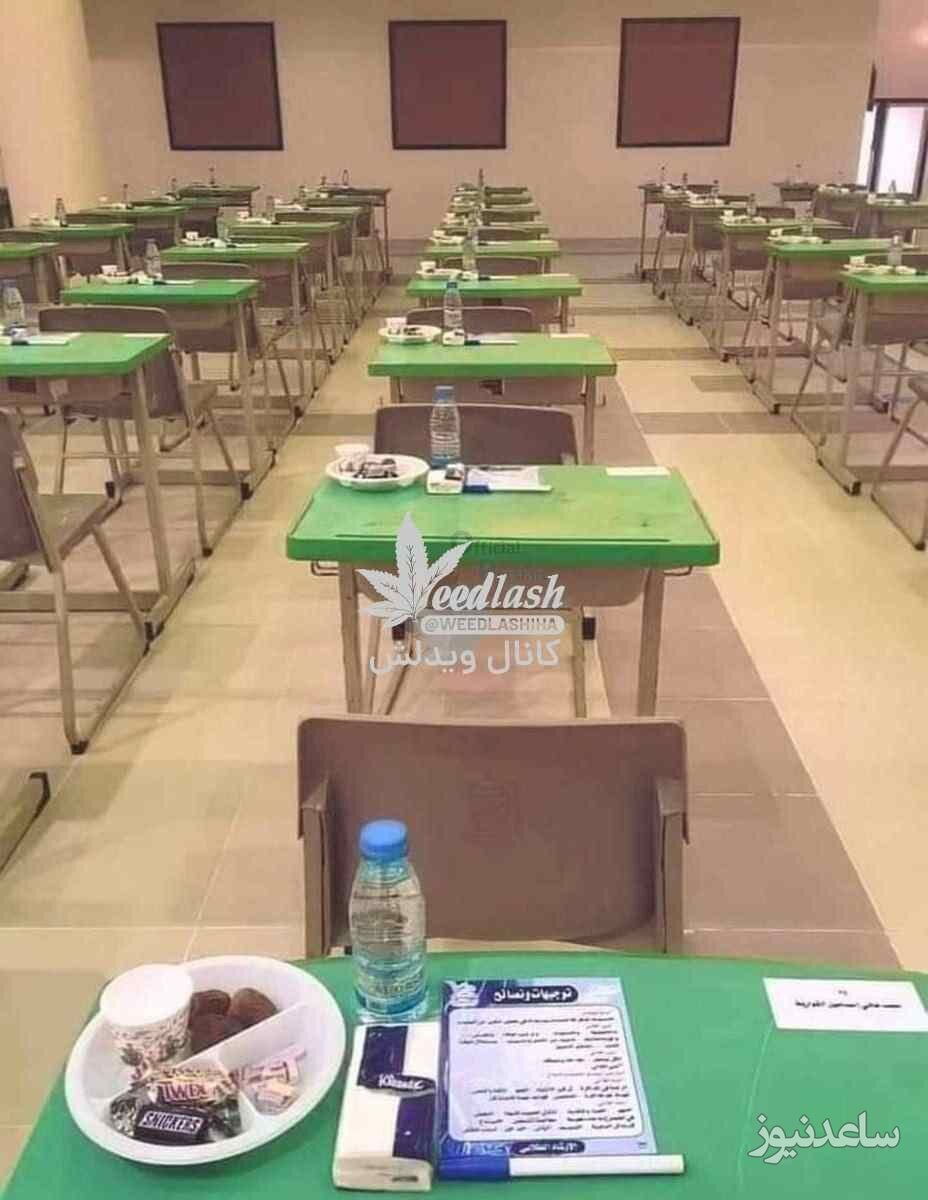 مدارس عربستان